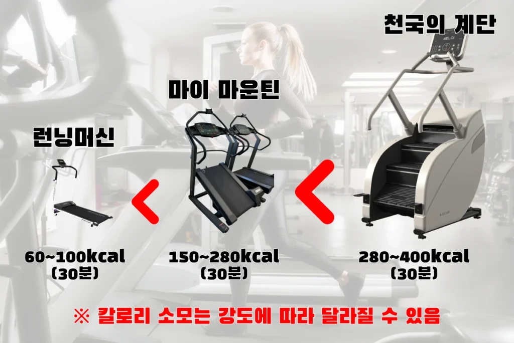 가정용 스텝밀 효과 비교